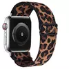 Brown Leopard