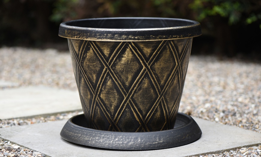 Image 14: Spring Lasagne Bulb Collection 75 Bulbs + Optional Patio Pot & Compost