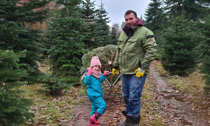 Image 9: Premium-Weihnachtsbaum zum Selbstschlagen inkl. 4 Heißgetränke