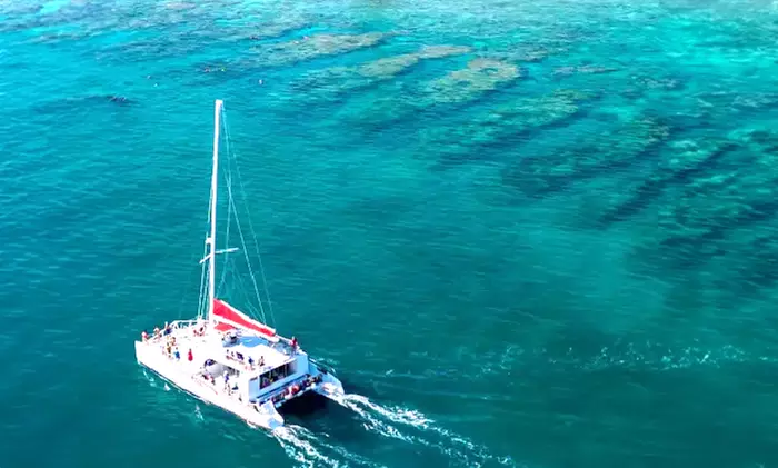 Discover Underwater Wonders: Morning and Afternoon Snorkel Await!