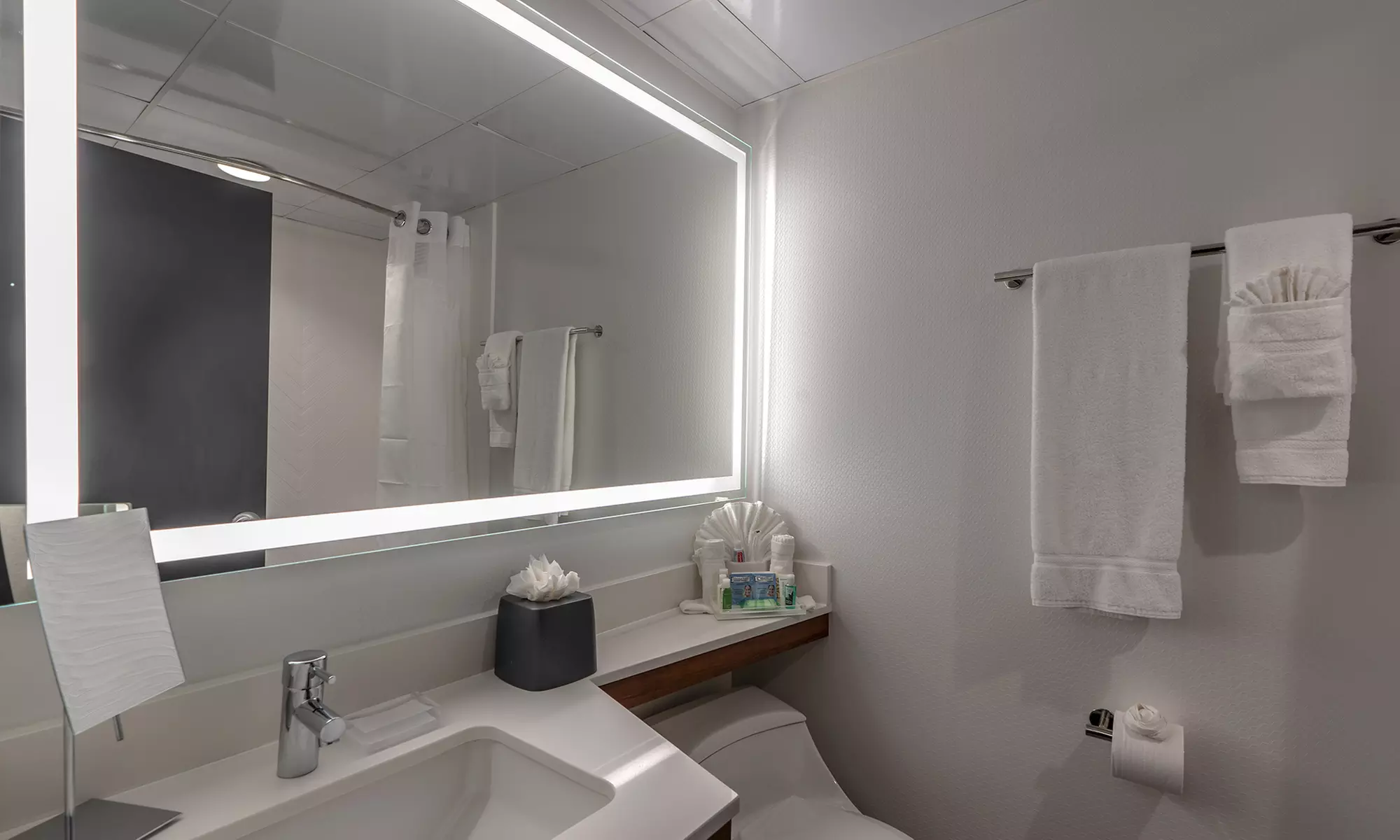Member Pricing: Budget Hotel in Central NOLA with Rooftop Pool 