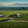 Image 9: Wine Tasting w/ Chocolate Pairing for Two or Four w/ or w/o Bottle
