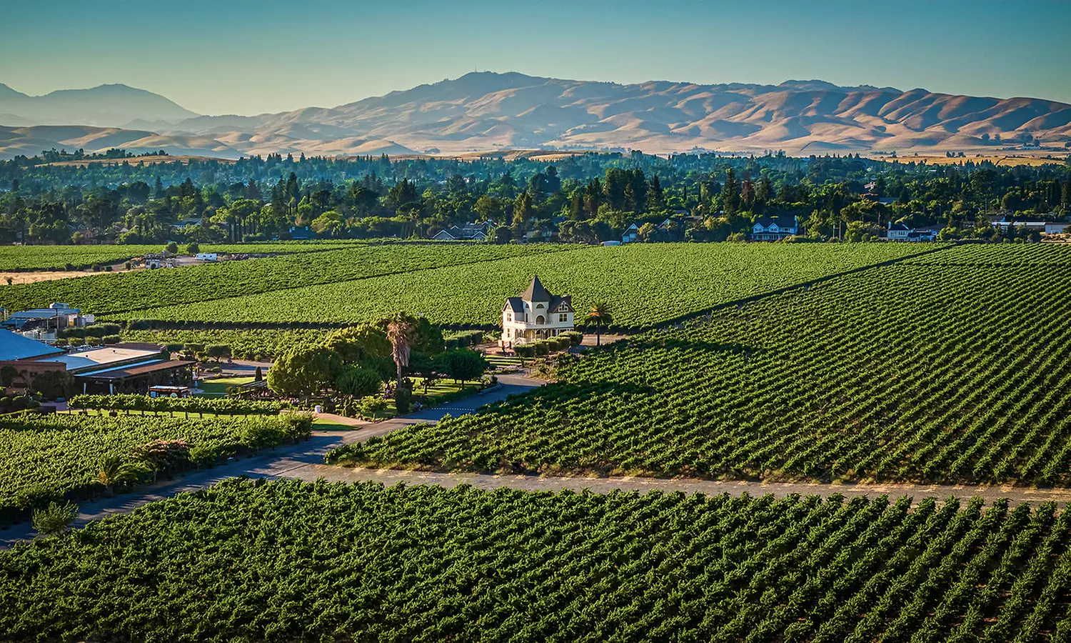 Wine Tasting w/ Chocolate Pairing for Two or Four w/ or w/o Bottle