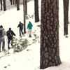 Image 3: Excursión con raquetas por la Sierra de Guadarrama para 1 o 2 personas