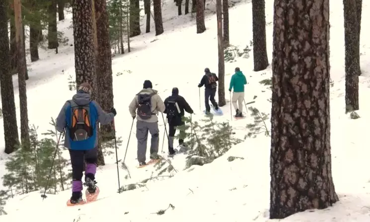 Excursión con raquetas por la Sierra de Guadarrama para 1 o 2 personas