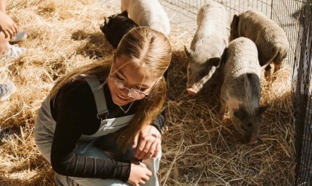 What to expect media