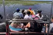 Explore Wildlife on an Everglades Airboat Tour in Kissimmee with Northern Everglades Adventures (Up to 18% Off) - Second Medium