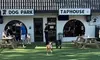 1 Day, 1 Month, 6 Month, or 1 Year Pass, $20 or $40 to Spend on Drinks at Barks and Brews (Up to 75% Off)