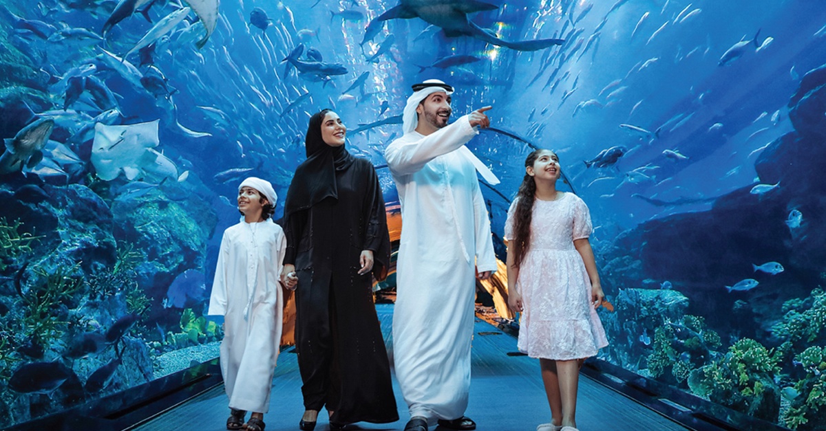 Dubai Aquarium And Dubai Frame Entry Tickets For 1, 2 Or 4 Adults Dubai Aquarium And Dubai Frame Entry Tickets For 1, 2 Or 4 Adults