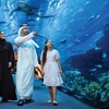 Image 1: Dubai Aquarium and Dubai Frame Entry Tickets for 1, 2 or 4 Adults