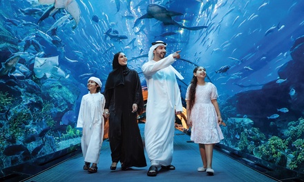 Dubai Aquarium and Dubai Frame Entry Ticket for One Adult - Peace Land Travel and Tourism