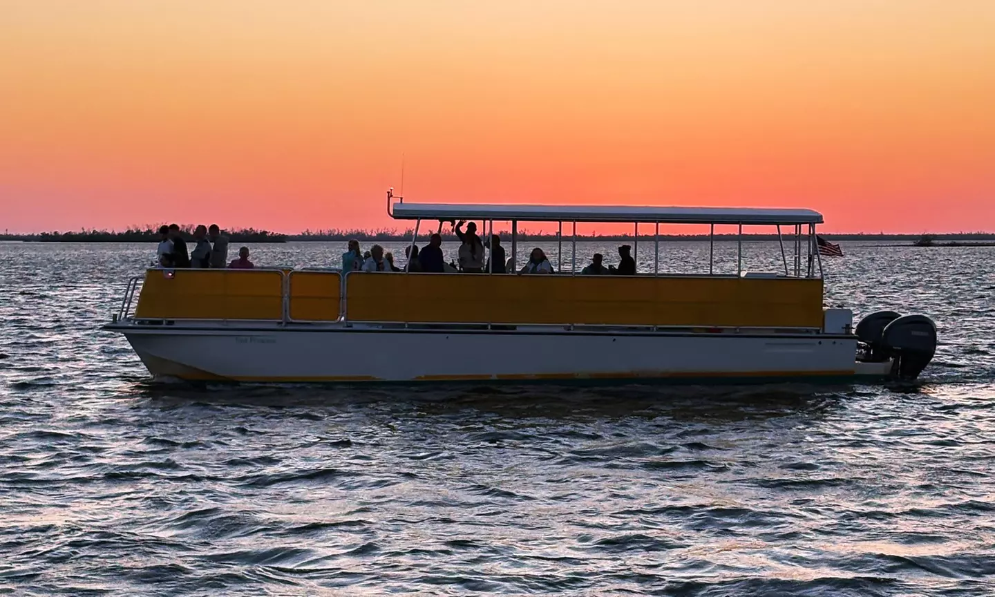 Sunset Dolphin and Wildlife Cruise: Child or Adult Ticket