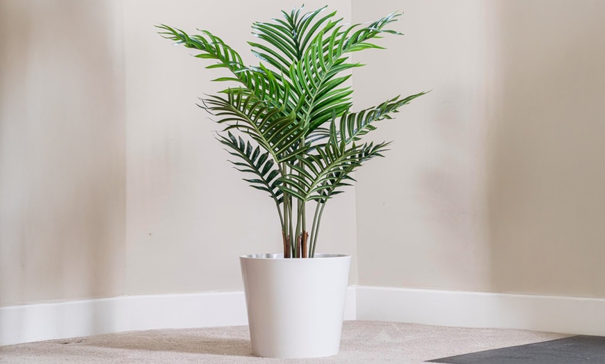 Image 17: Artificial Plants and Trees - Bamboo, Ficus, Olive and Palm