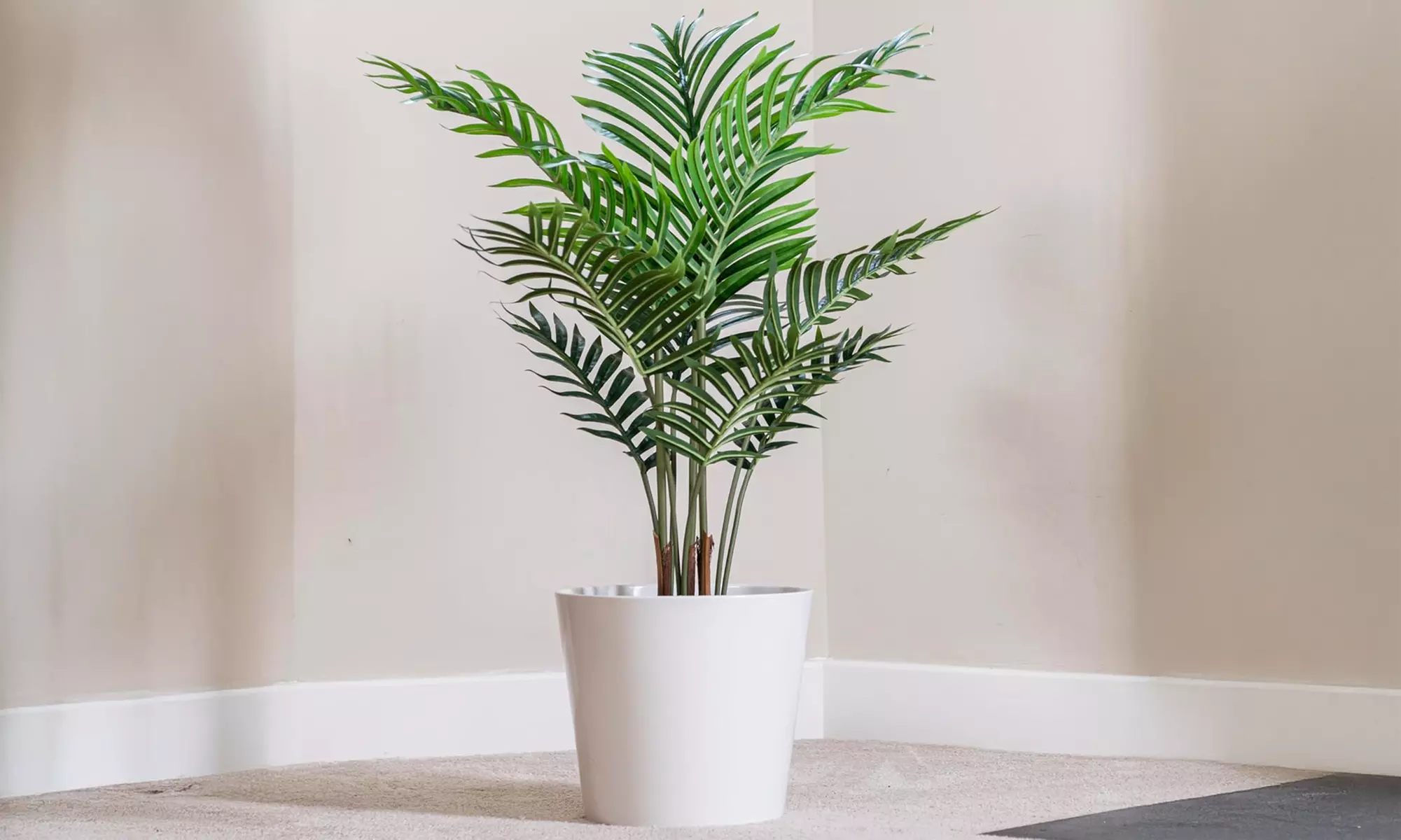 Artificial Plants and Trees - Bamboo, Ficus, Olive and Palm