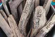 Rejuvenate w/ a One-Week, One-Month, or One-Month Sauna Retreat for Two at ThePEMS Collaborative - Up to 46% Off - Second Medium