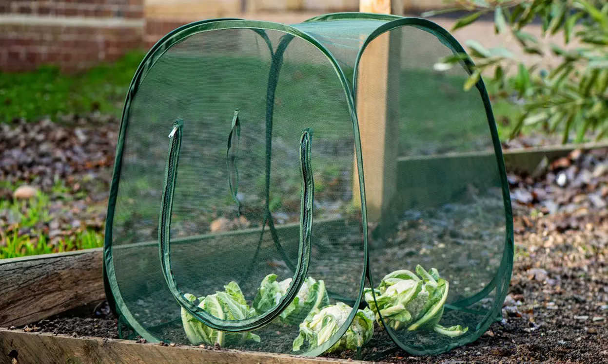 Garden Gear Plant Protection Cloches