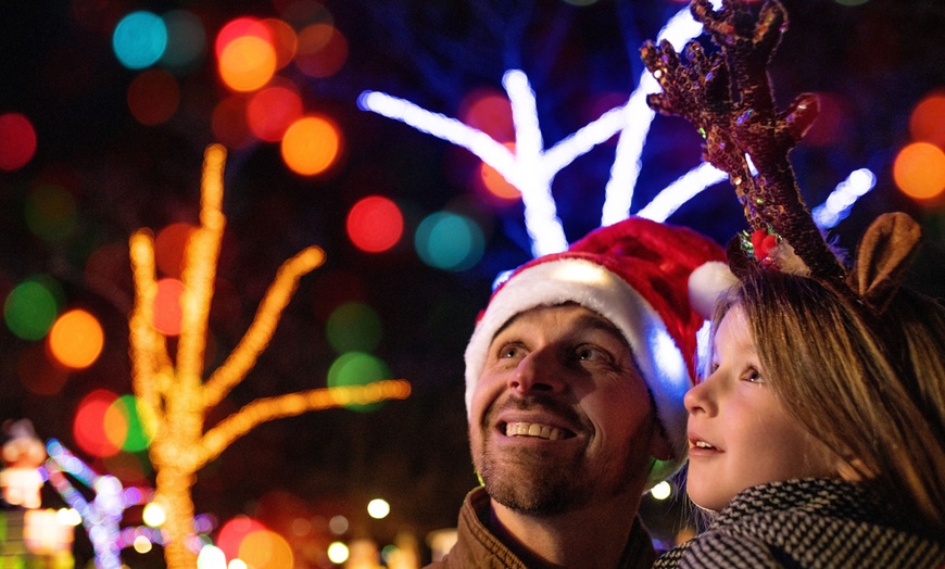 Image 5: Dutch Winter Wonderland Admission