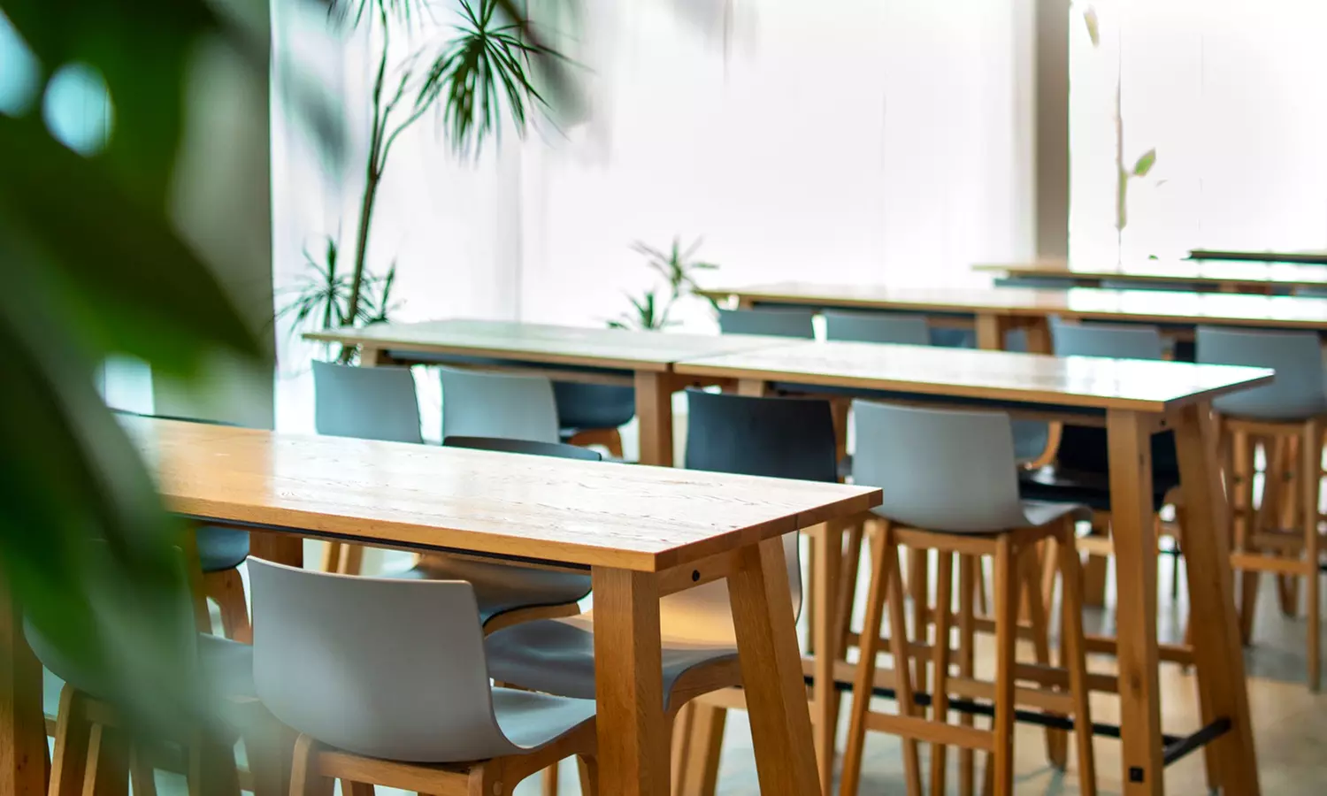 Menú mediterráneo light o completo para 2 o 4 personas