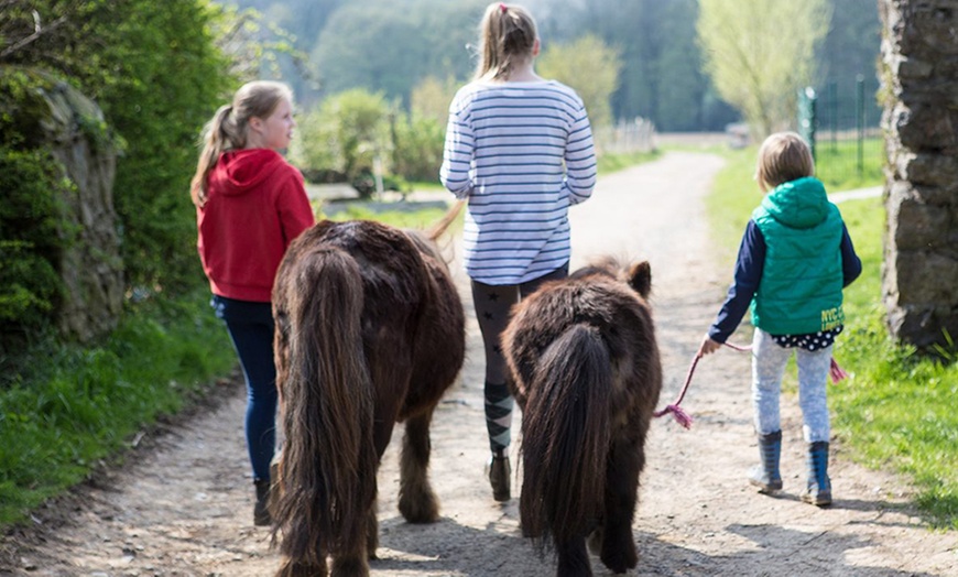 Image 10: Bis zu 3 Std. Alpaka-Wanderung für 2 Personen oder 1 Familie