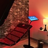 Image 3: Full Spectrum Red Light Therapy with Vibration Plate Session