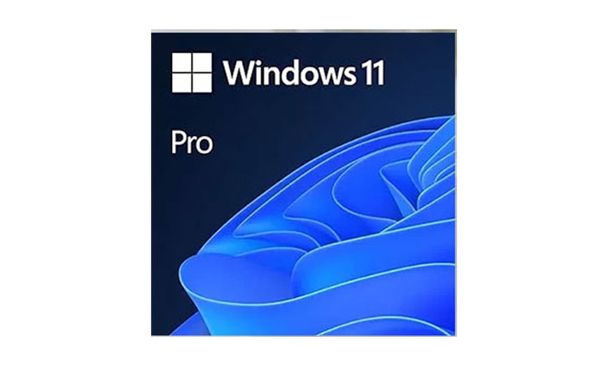 Image 8: Licence à vie - Microsoft Office Professional Plus 2024, 2021