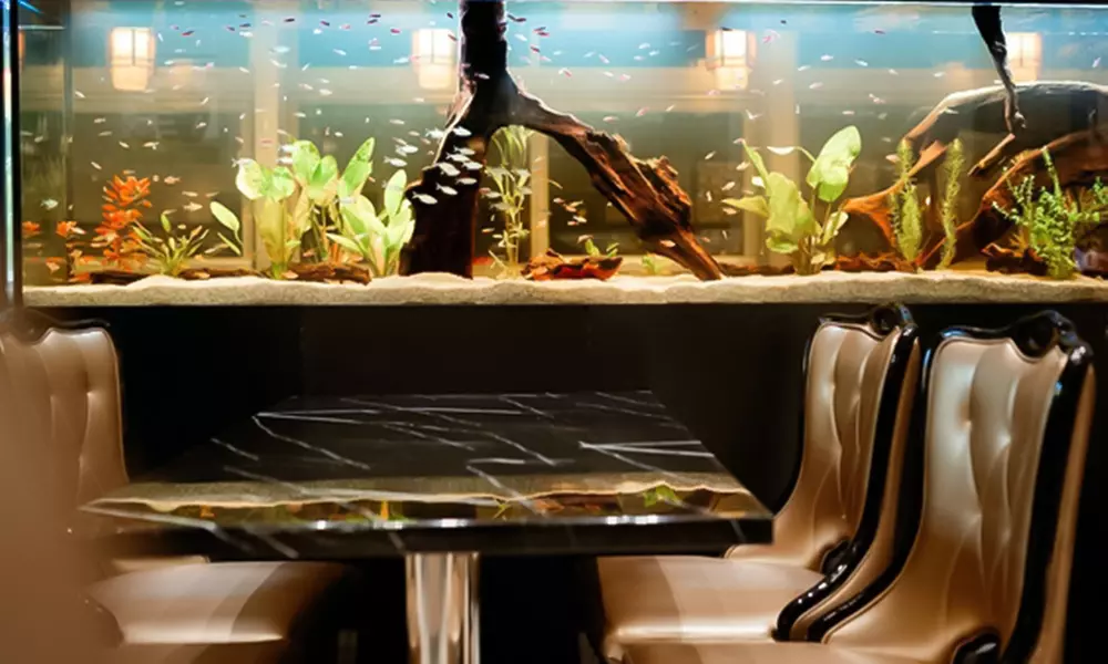 Asiatisches Buffet All You Can Eat & Drink – mit Sushi, Grill und mehr