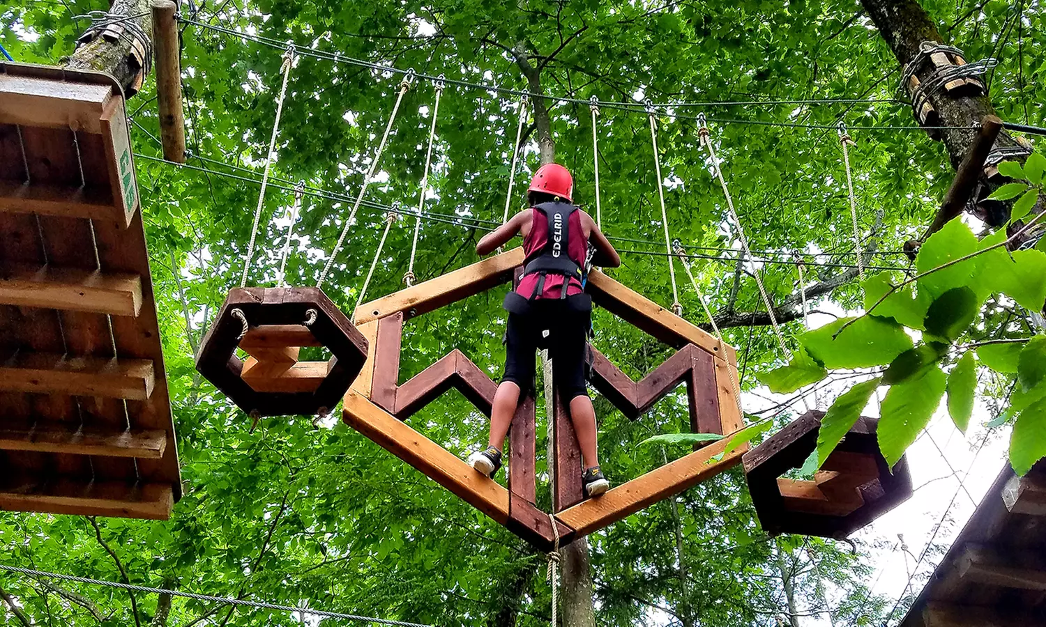 Aerial TreeTop (High Ropes) Adventure for 1 Child or Adult this Summer