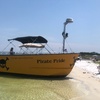 Image 7: Explore Waters of Pensacola, FL:  90-Min Dolphin Tour or Sunset Cruise