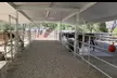 Horse riding and animal time at a private ranch. Family Experience, Mommy & Me, or Ranch Camp. All ages. Valid Mon-Fri - Second Medium