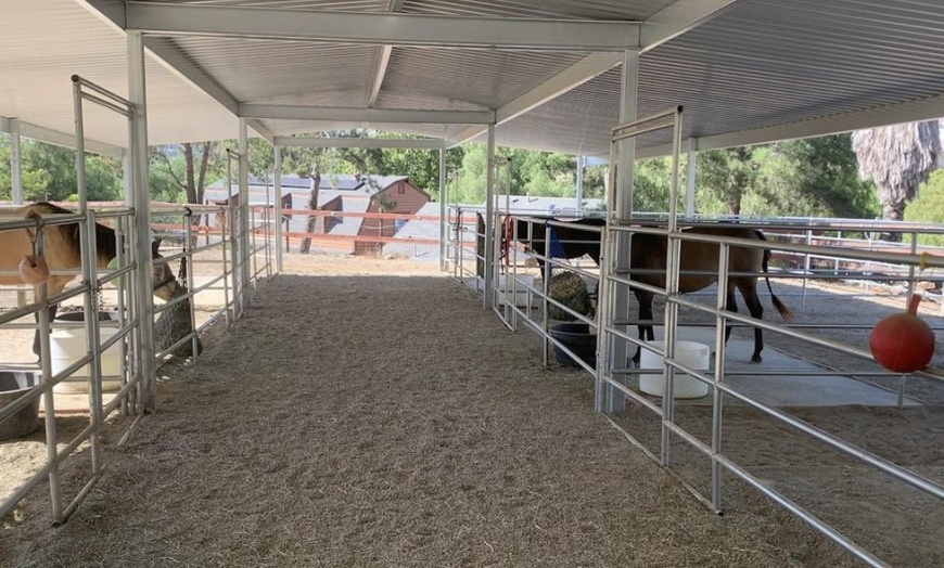 Image 6: Horse riding and animal time at a private ranch. Family Experience, Mommy & Me, or Ranch Camp. All ages. Valid Mon-Fri