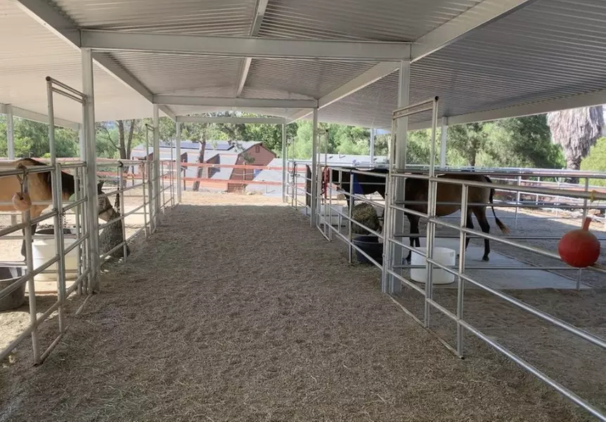 Mommy or Daddy & Me /Animal Petting Experience w/ Optional Horse Party