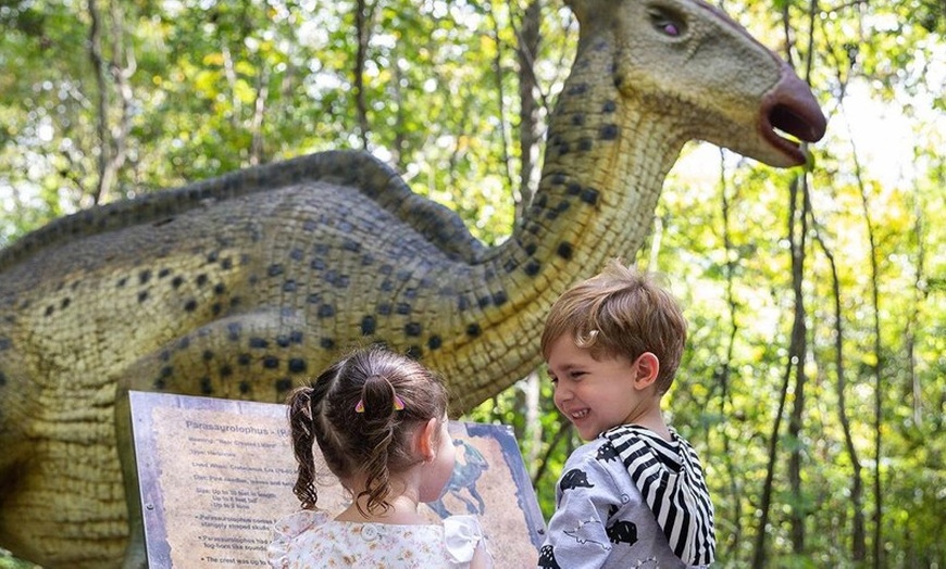 Image 5: GA for 2, 3 or 4 People - Fun, Learning & Adventure Await