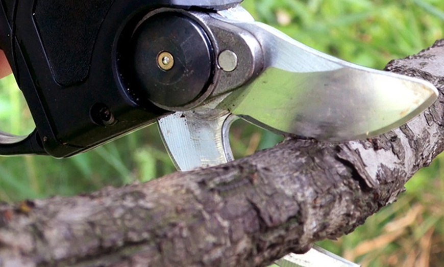 Image 15: Sélection d'outils de coupe électriques