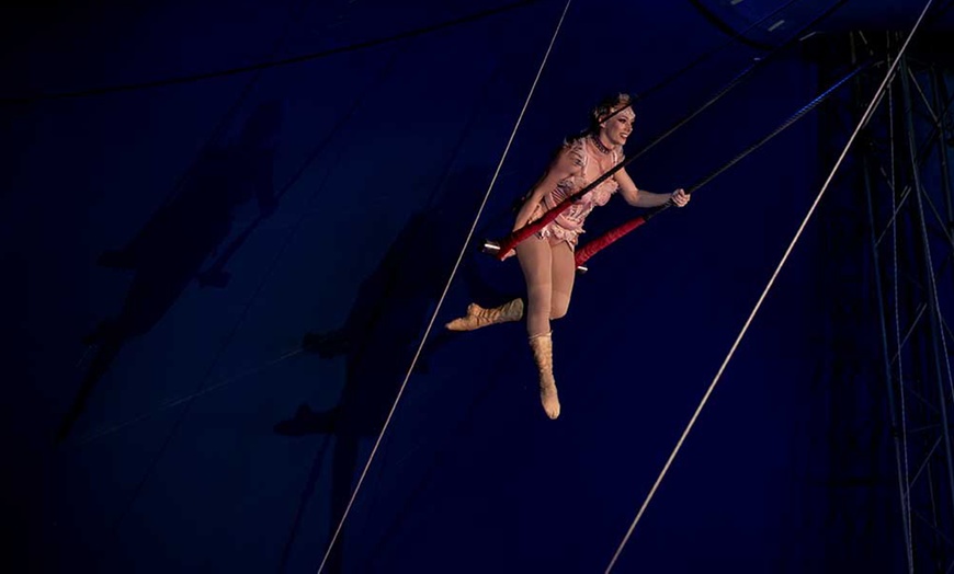 Image 5: Entrada oro o plata para niño o adulto al espectáculo "Viva el circo"