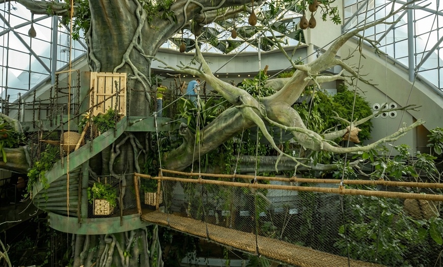 Image 2: Child or Adult Pass: Green Planet Day or Optional Ain Dubai Adult Pass