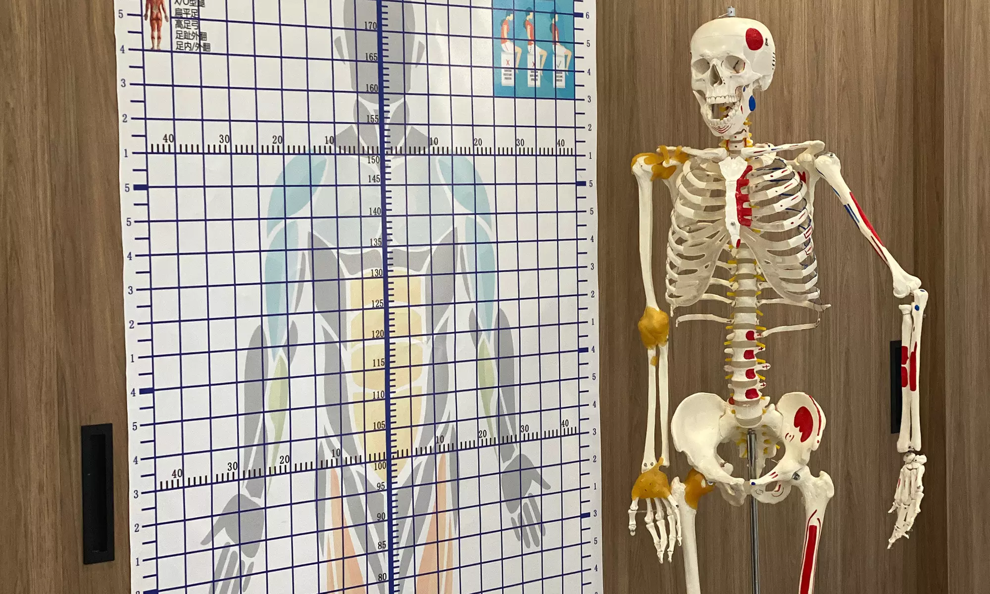 Chiropractic Services at LumiÈRe Cosmetic Clinic