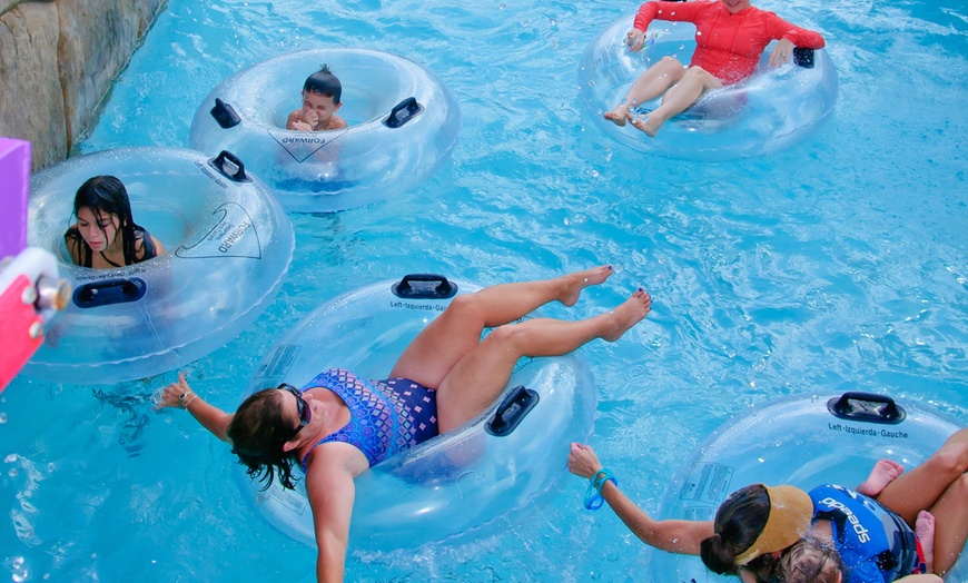 Image 4: Up to 55% Off Admission to Palm Beach at Moody Gardens