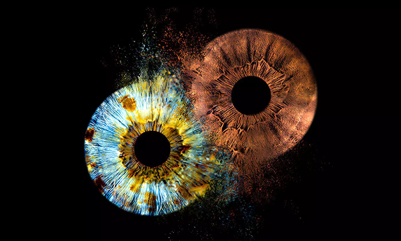 Custom Iris Photo Art For Couples, Families or Pets