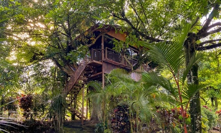 363X Option 1: Land Only (Airfaire Not Included): Depart on certain dates between 11/5/25-12/12/25 - ✈ 4-Night Costa Rica Treehouse Getaway w/ Optional Air  & Car from Travel by Jen