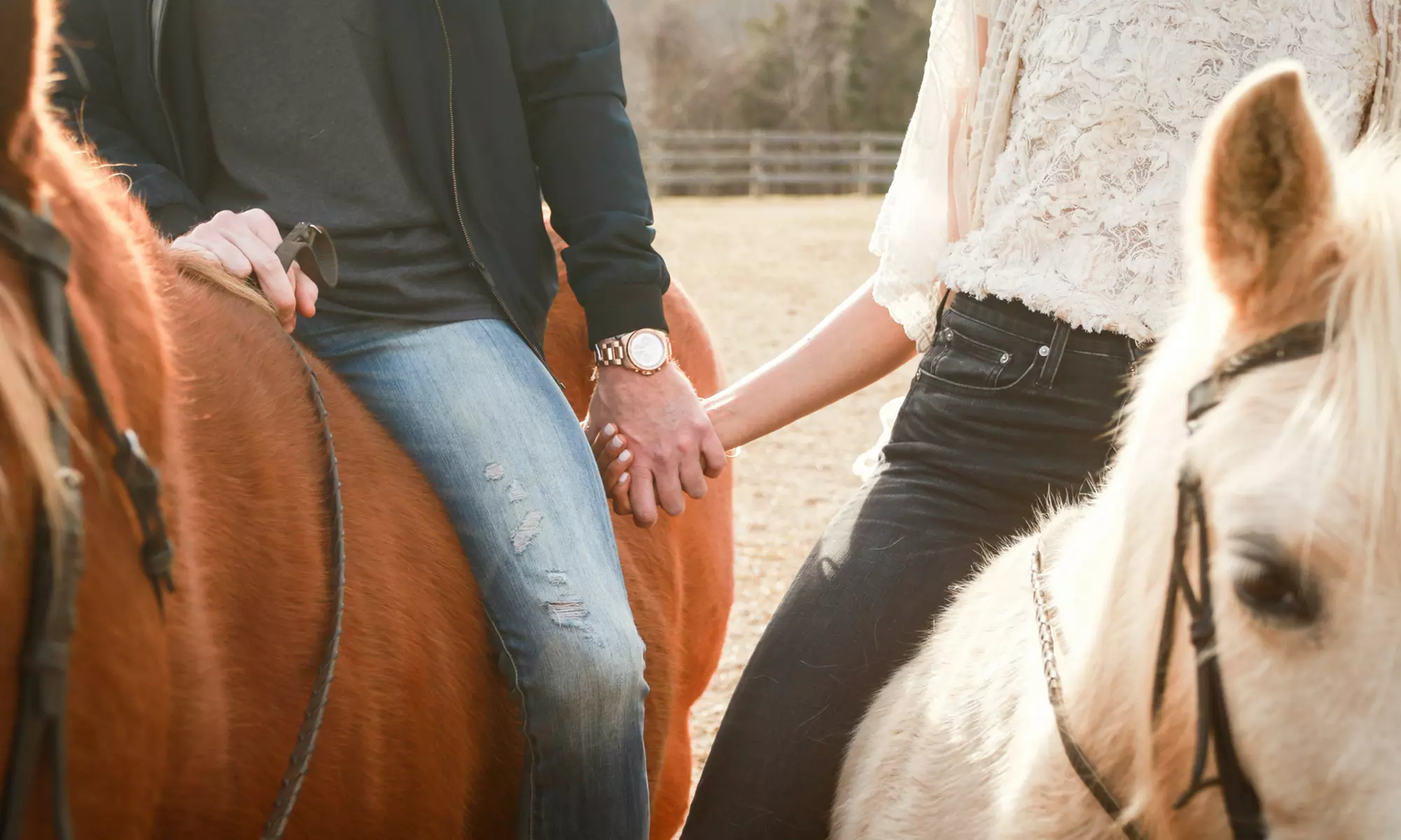 Paseo a caballo por el Guadarrama con refresco, pinchos y bebidas para 1, 2 o 4 personas en Hípica El Diamante - Primary Image