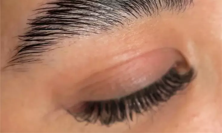 Lashlifting oder Wimpernverlängerung mit 2D- bis 6D-Volumentechnik