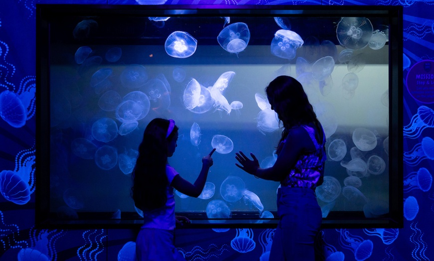 Image 2: General Admission to Sea Life Melbourne Aquarium