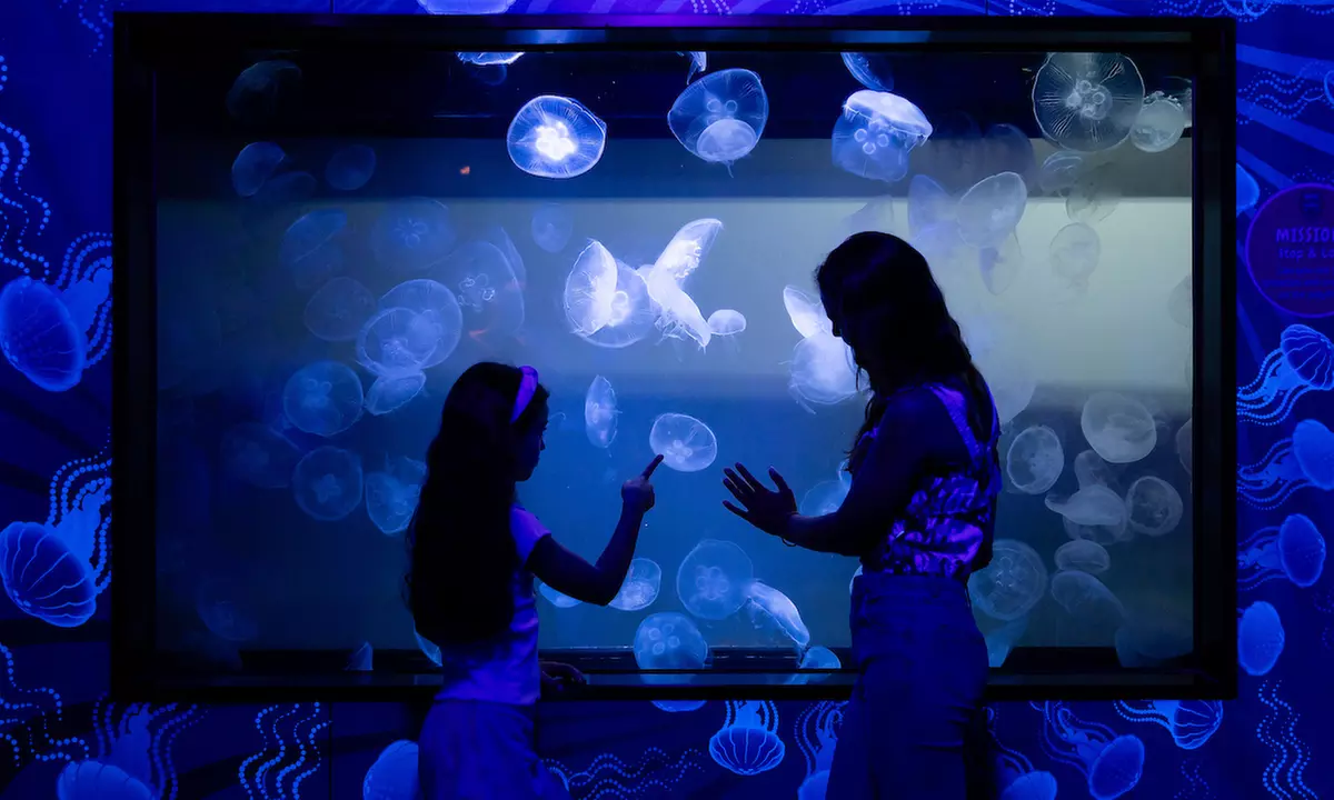 General Admission to Sea Life Melbourne Aquarium