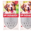 Image 14: Pipette antiparassitarie per cani Advantix
