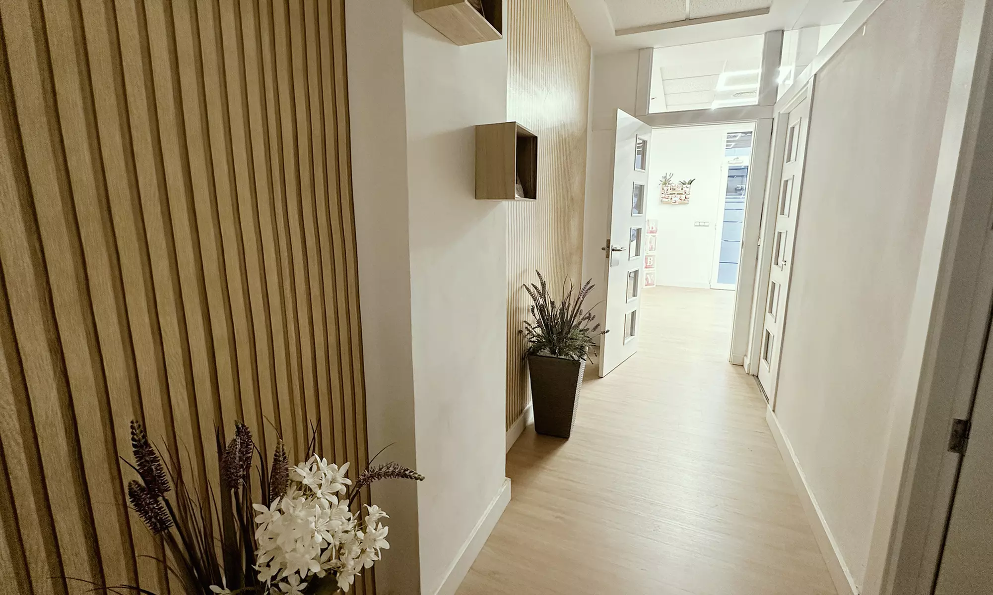 Ecografía para descubrir el sexo del bebé con vídeos y fotos