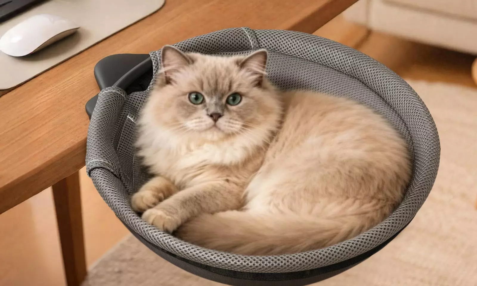 Skylos 360-Degree Rotating Desk Cat Hammocks and Beds