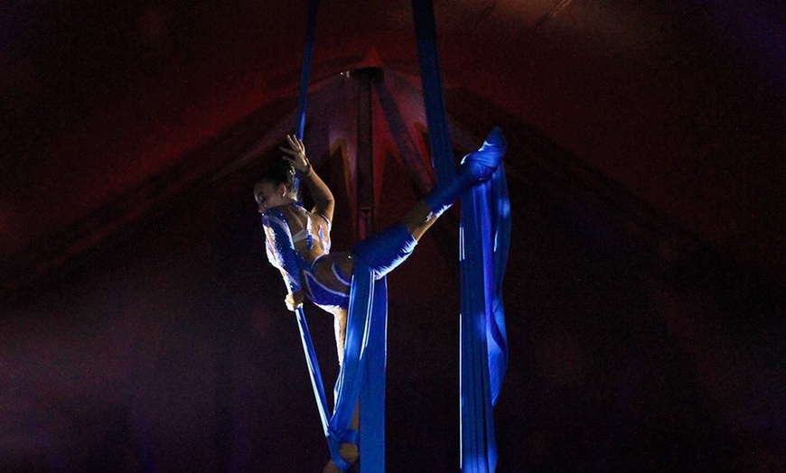 Image 3: Cirque Amar®, 100 ans d'émotions : le centenaire, de déc. à fev.