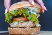 Satisfy Cravings with $25, $50, $75 or $100 Dining Credit at Hangry Belly ( Up to 42% Off ) - Second Medium