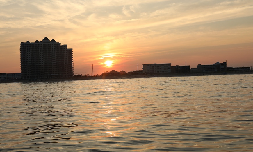 Image 6: Dolphins, Speed & Sunsets—Cruises for All Ages!