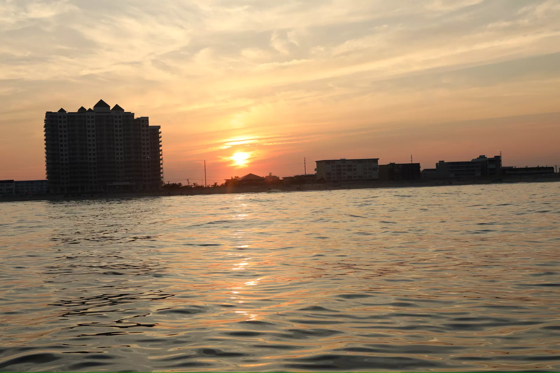 Dolphins, Speed & Sunsets—Cruises for All Ages!